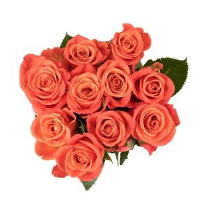 Izami Orange Rose Posy