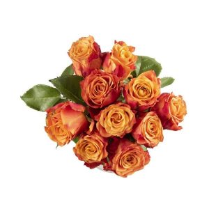 Izami Speciality Posy