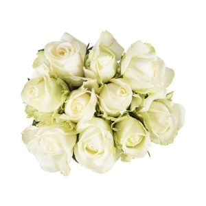 Izami White Rose Posy