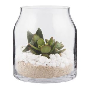 Succulent in Glass - Gift Delivery