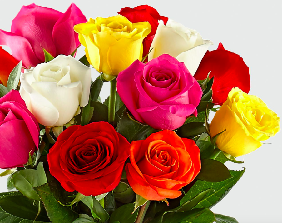 Mixed Roses Mixed Roses