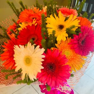 Daisies Galore - 15 Stems