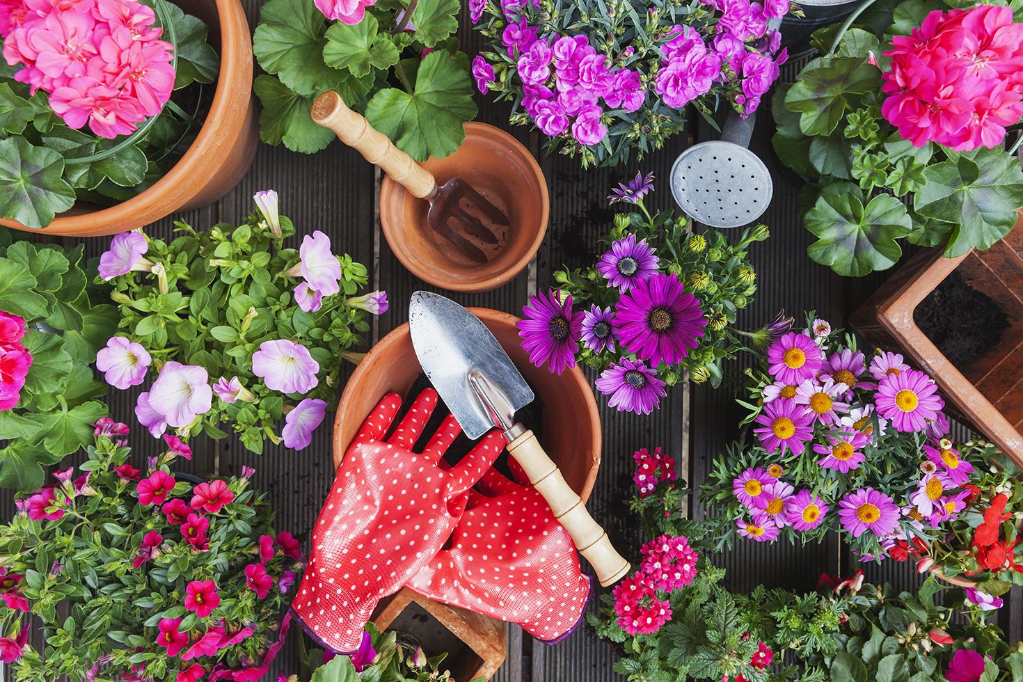 Must have gardening tools/supplies