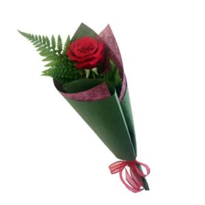 Single Red Rose - Gift For Her