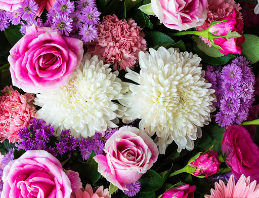 Flowers That Are In Season - Ready For Love Month