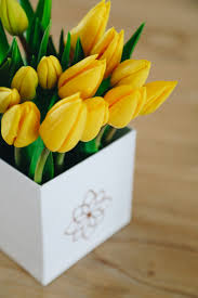 Stunning Tulip Box - Yellow Stunning Tulip Box - Yellow