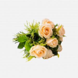 8 CHAMPAGNE ROSES