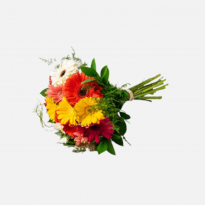 12 Mix Color Gerberas